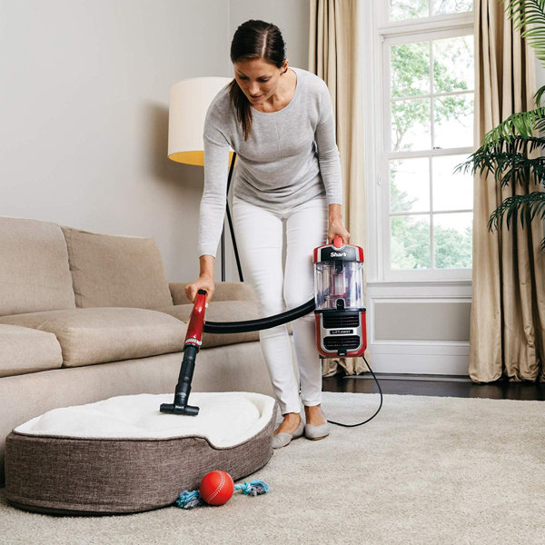 Shark Navigator® ZeroM LiftAway Speed Bagless Upright Vacuum & Reviews Wayfair